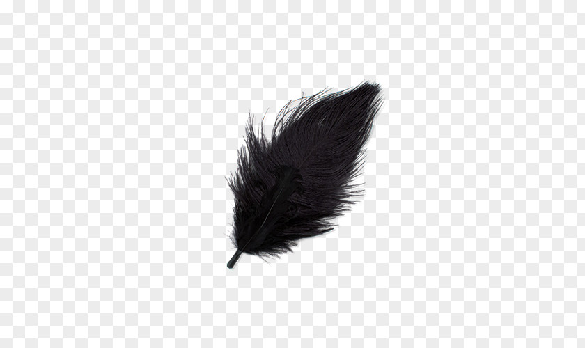 Falling White Feathers Feather Light Hewlett-Packard Toner PNG