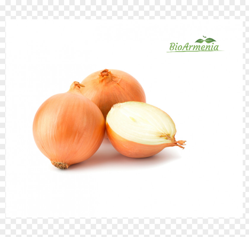 Garlic Yellow Onion White Vegetable Shallot PNG