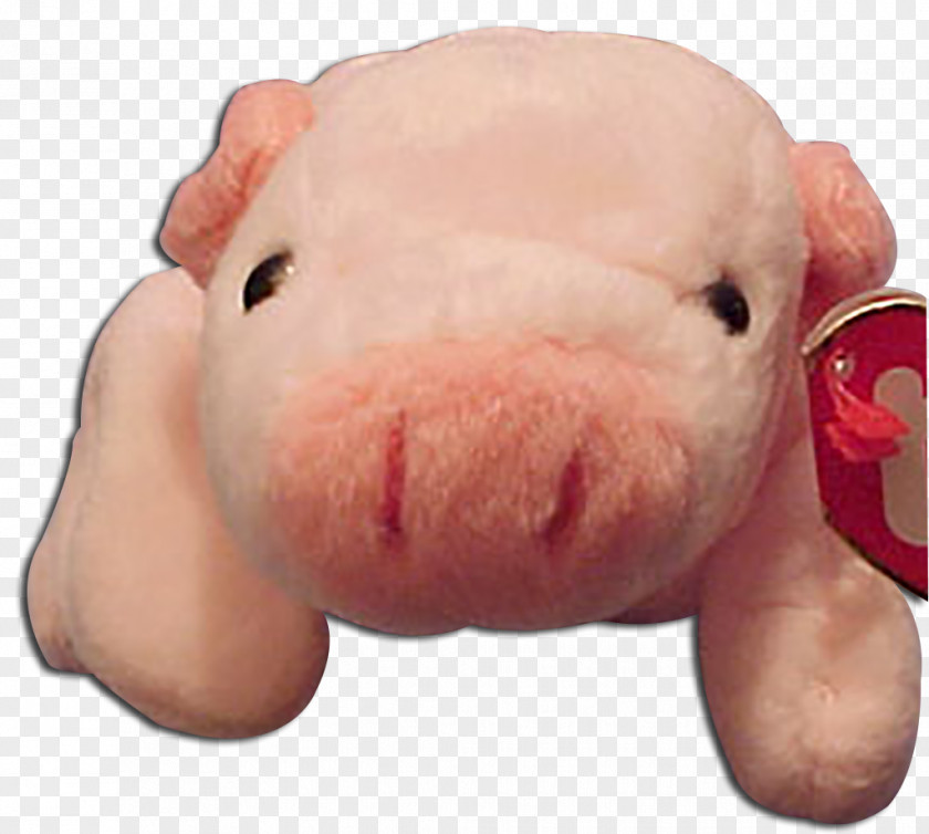 Pig Domestic Mouth Snout Stuffed Animals & Cuddly Toys PNG