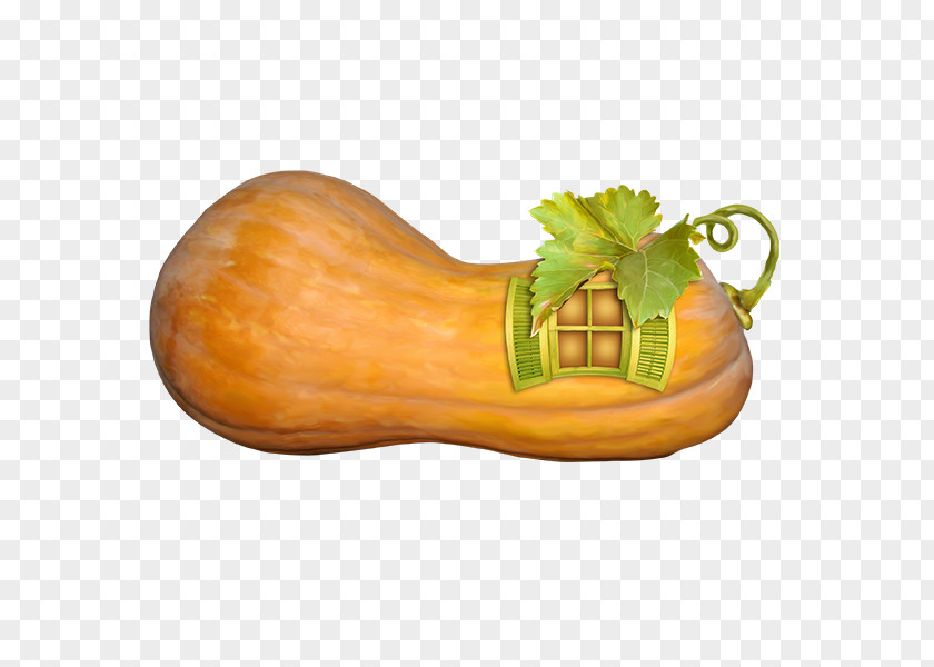 Pumpkin Gourd Calabaza PNG