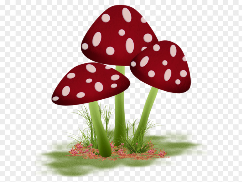 Watercolor Mushrooms Mushroom Paper Painting Fungus PNG