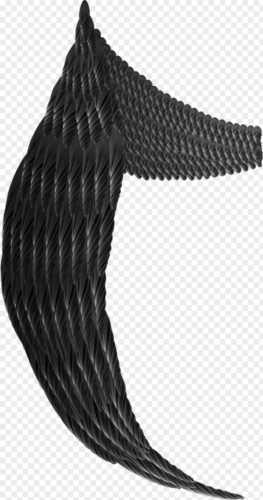 Angel Wings Rope Black PNG