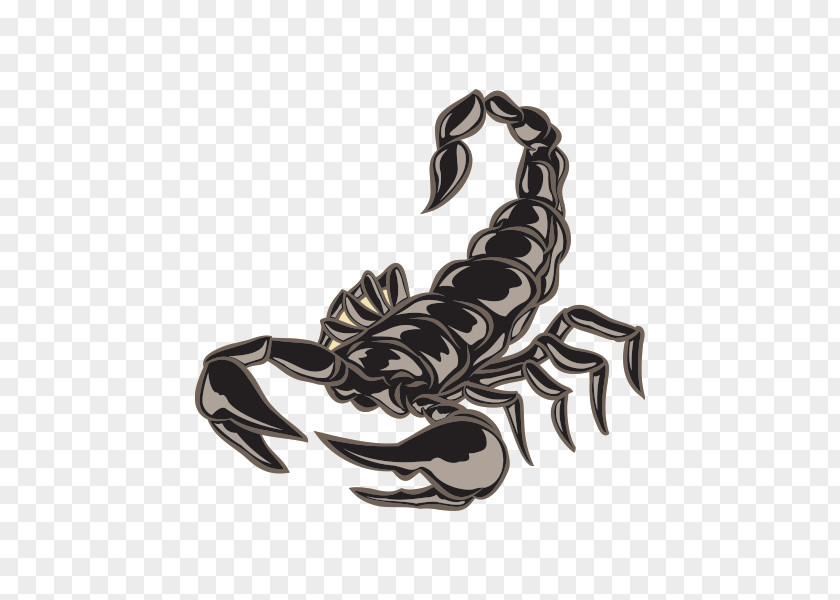 Arachnid Claw Scorpion Lobster Decapoda Homarus Crab PNG
