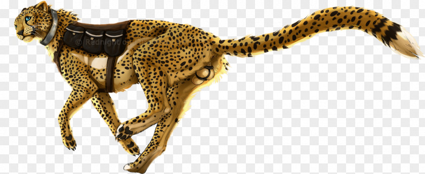 Cat Terrestrial Animal Velociraptor Mammal Pet PNG