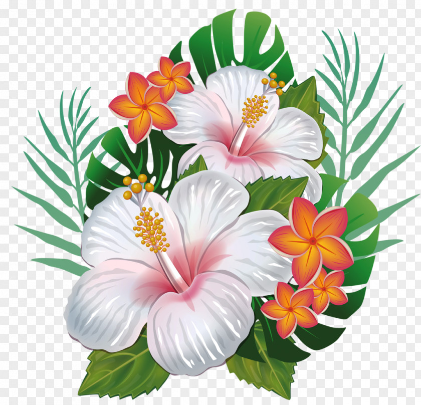 Flower Hawaiian Hibiscus Clip Art PNG