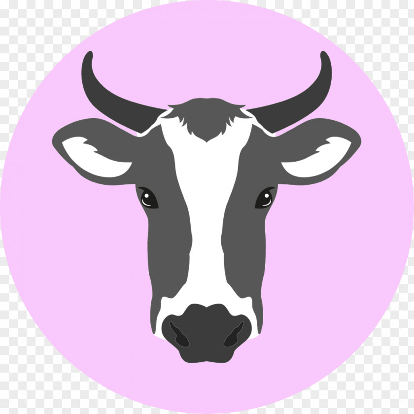 Longhorn Cattle Graphic Design PNG