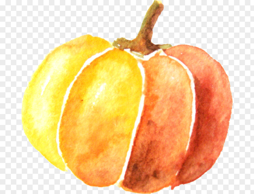 Watercolor Pumpkin Painting PNG