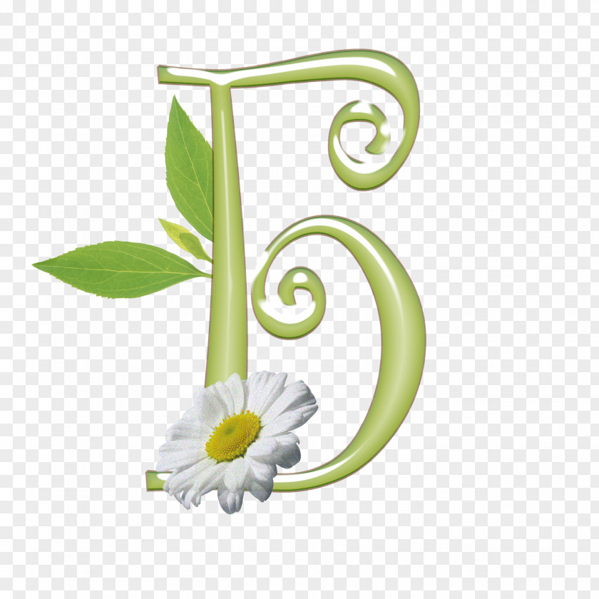 Design Floral Product Alternative Health Services PNG