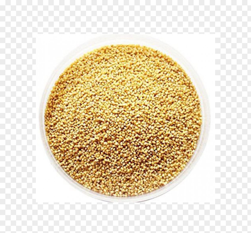 Rice Cereal Germ Foxtail Millet Seed PNG