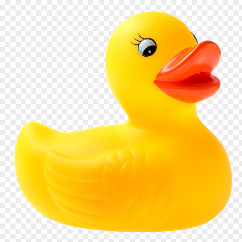 Cute Little Yellow Duck Rubber National Toy Hall Of Fame Natural Clip Art PNG