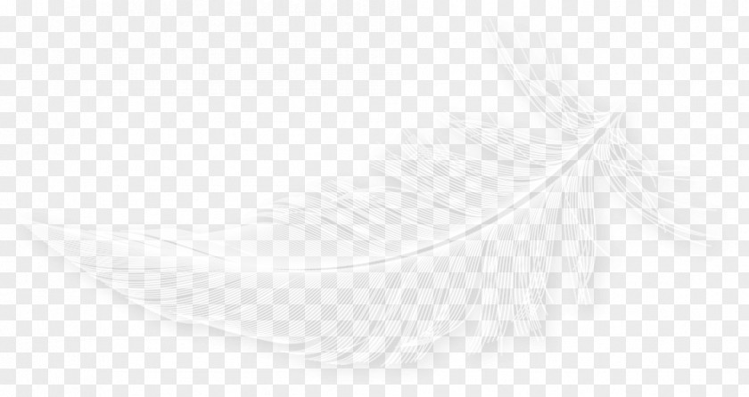 Feather White Line PNG