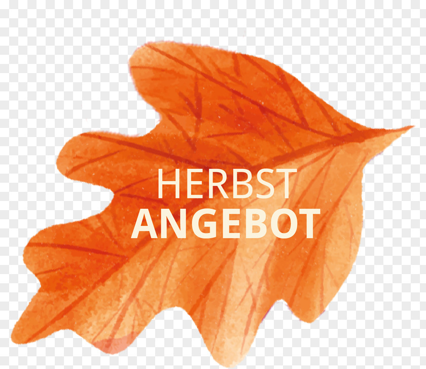Herbstblatt Maple Leaf Font Text Messaging PNG