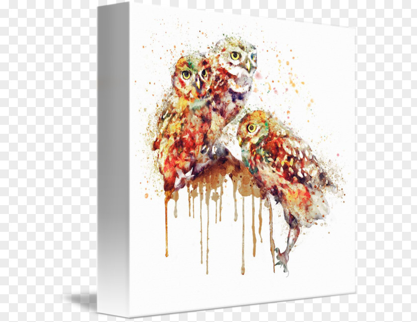 Owl Watercolor Painting Art Mixed Media PNG