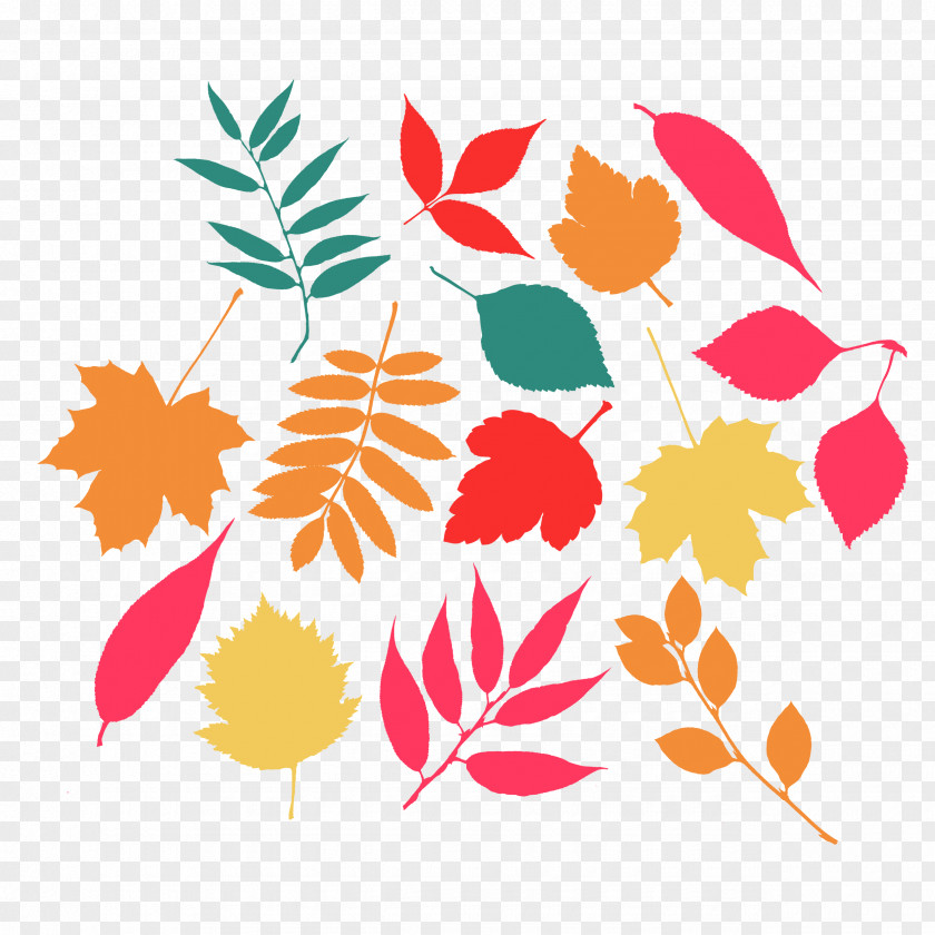 Vector Graphics Illustration Autumn Design Drawing PNG