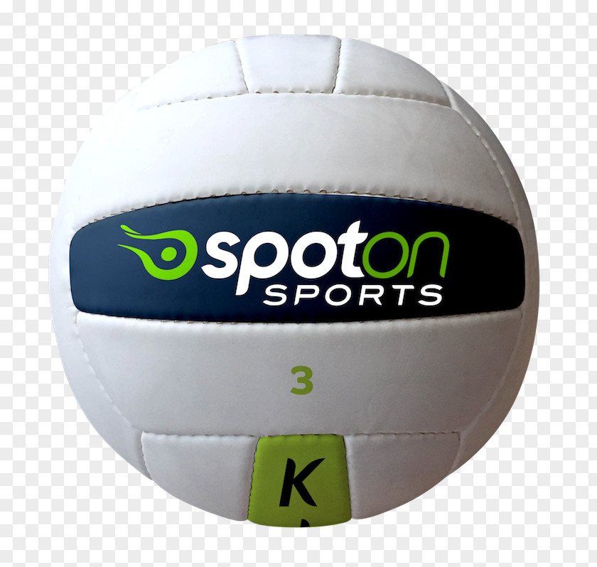 Coach Kicking Soccer Ball Medicine Balls Volleyball Gaelic Football PNG