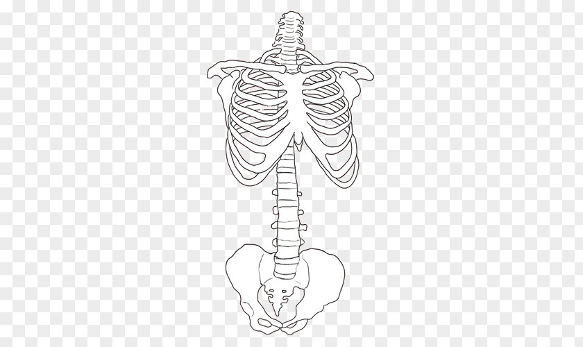 Diary Dark Poetry Human Skeleton Drawing Bone PNG