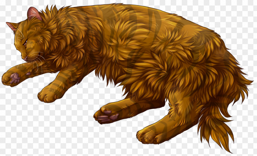 Hunter Warriors Erin Brackenfur ThunderClan Whitestorm PNG