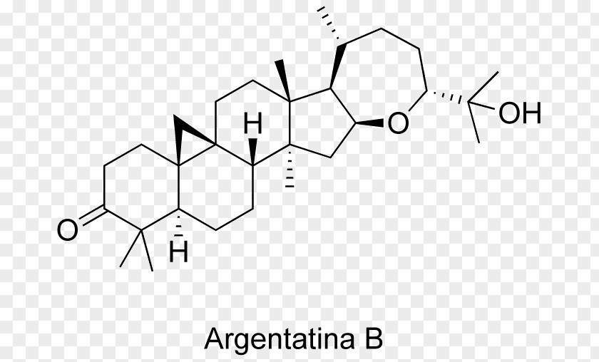 Hydroxyprogesterone Acetate Cortisol Steroid Progestin PNG