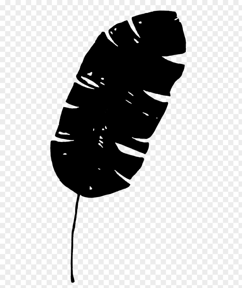 M Leaf Clip Art Silhouette Line Black & White PNG