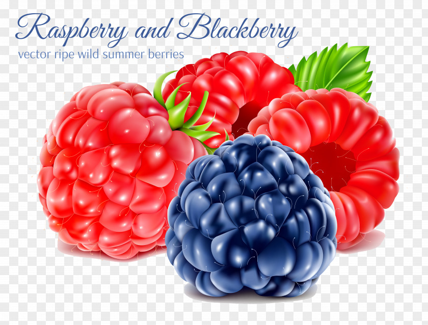 Raspberry Juice Blueberry Blackberry PNG
