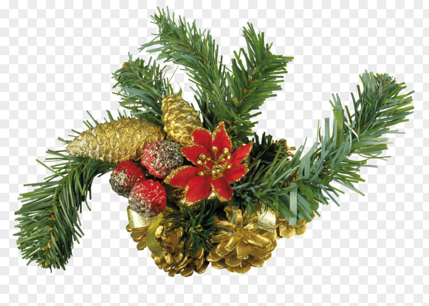 Christmas Krampus Card Tree Gift PNG