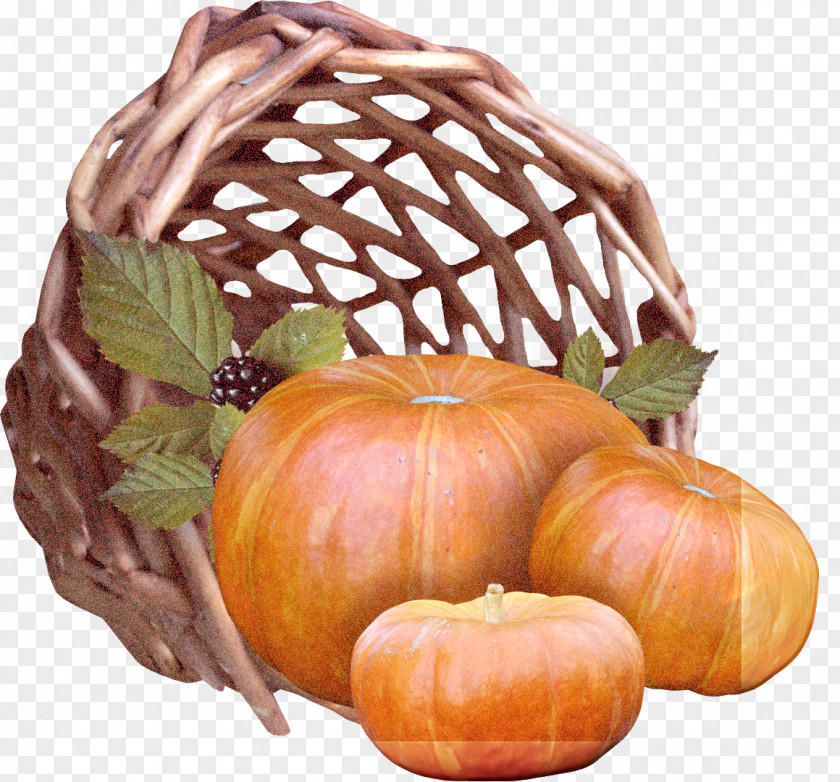 Gourd Winter Squash Pumpkin PNG