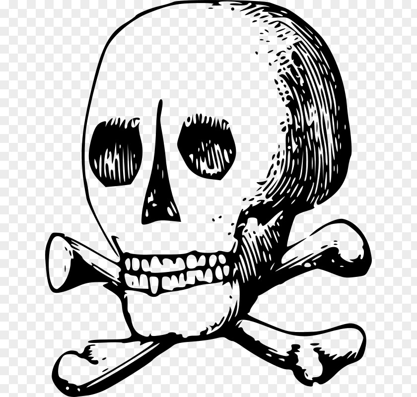 Skull And Bone Skeleton Nose Clip Art PNG