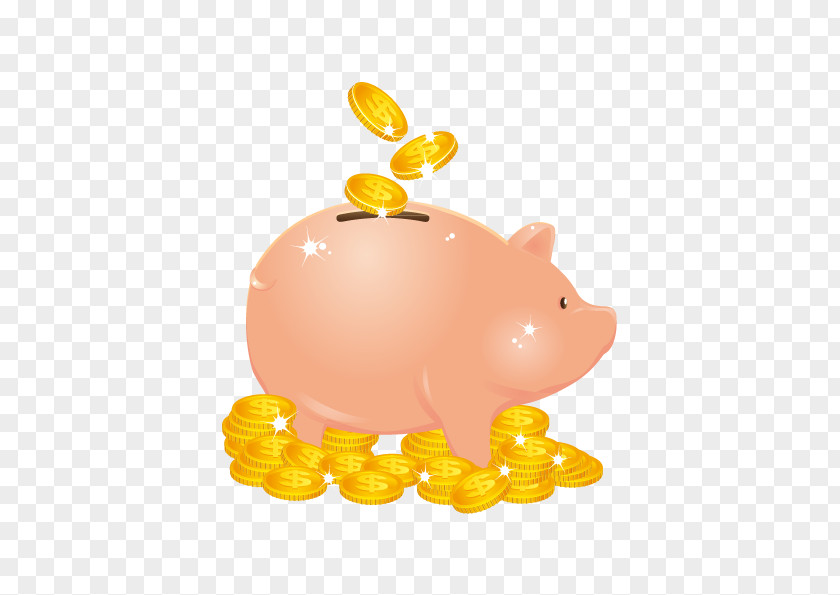 Vector Graphics Piggy Bank Domestic Pig Money PNG