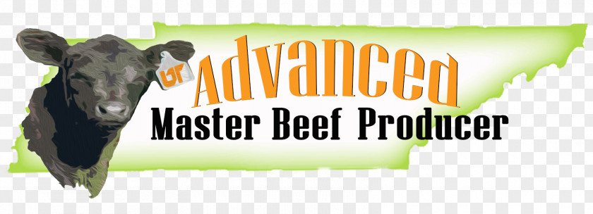 Agriculture Product Flyer Dairy Cattle Beef Angus Calf PNG