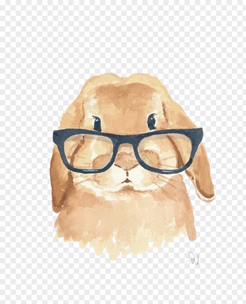 Bespectacled Rabbit Picture Material Holland Lop Leporids Watercolor Painting Illustration PNG