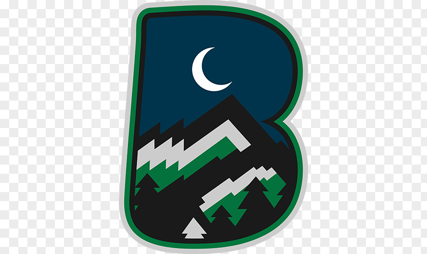 Design Hartford Whalers Logo PNG