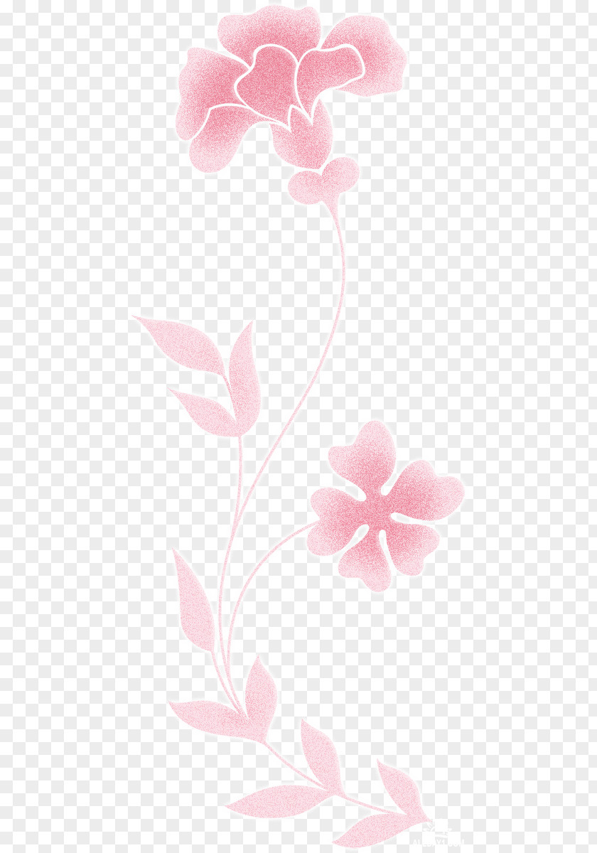 Design Moth Orchids Floral Rosaceae PNG