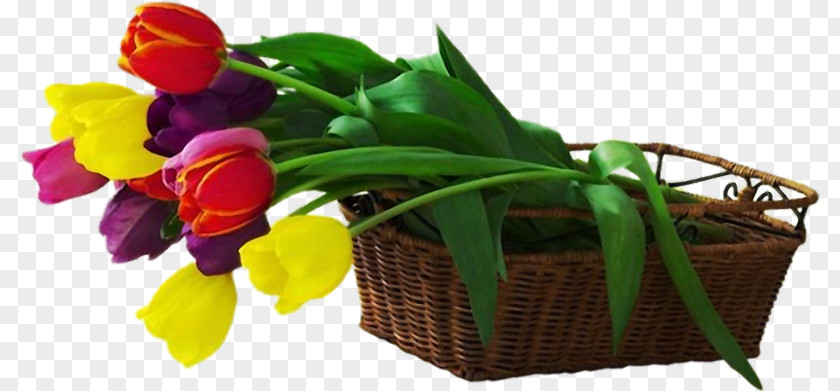 HD Tulip Flower Baskets France Cabinet De Dermatologie Dr BENHIBA Hind Dermatology Friendship Skin PNG