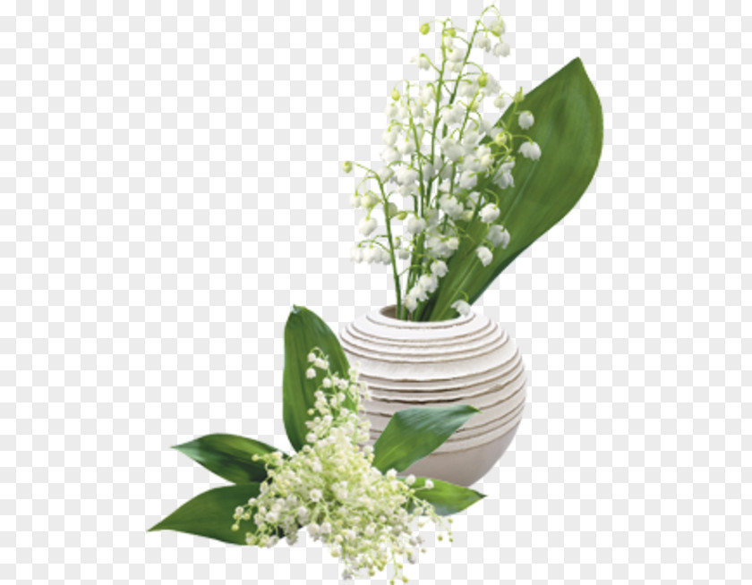 Lily Of The Valley Flower Lilium PNG