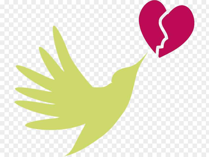 Lime Green Dove Cardiovascular Disease Clip Art Heart Circulatory System PNG