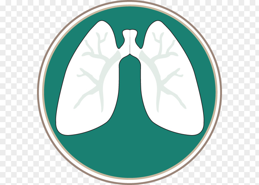 Lungs Interstitial Lung Disease Pulmonology Pulmonary Hypertension Southern Specialists, PC PNG