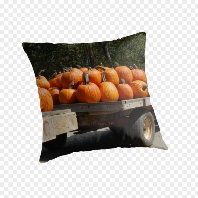 Pillow Throw Pillows Cushion PNG