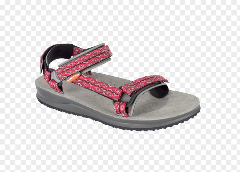 Sandal Teva Shoe Tourism Belt PNG