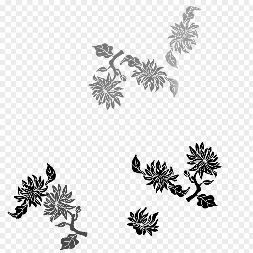 Chrysanthemum Xiushui County Tea U5e90u5c71u4e91u96feu8336 PNG