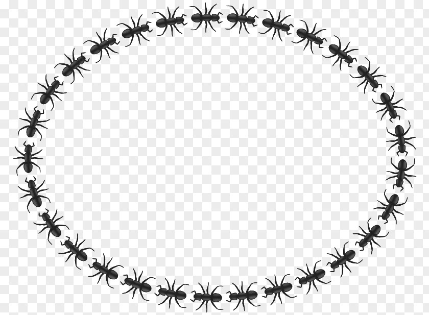 Frog Border Ant Insect Circle Clip Art PNG