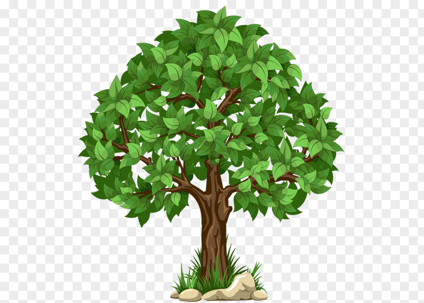 Heart Tree Clip Art PNG