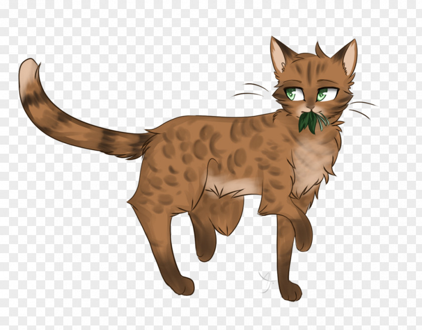 Leopard Paw Warriors Whiskers Domestic Short-haired Cat Tabby Wildcat PNG