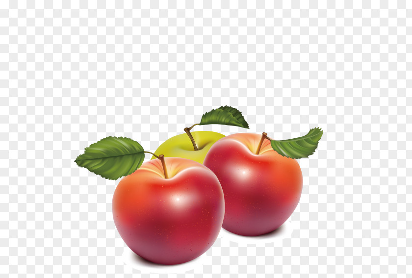 Red Delicious Apples Caramel Apple Clip Art PNG