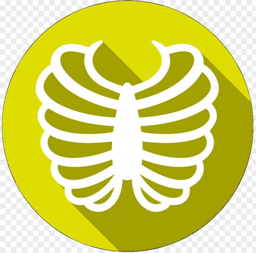 Rib Cage Fracture Bone PNG