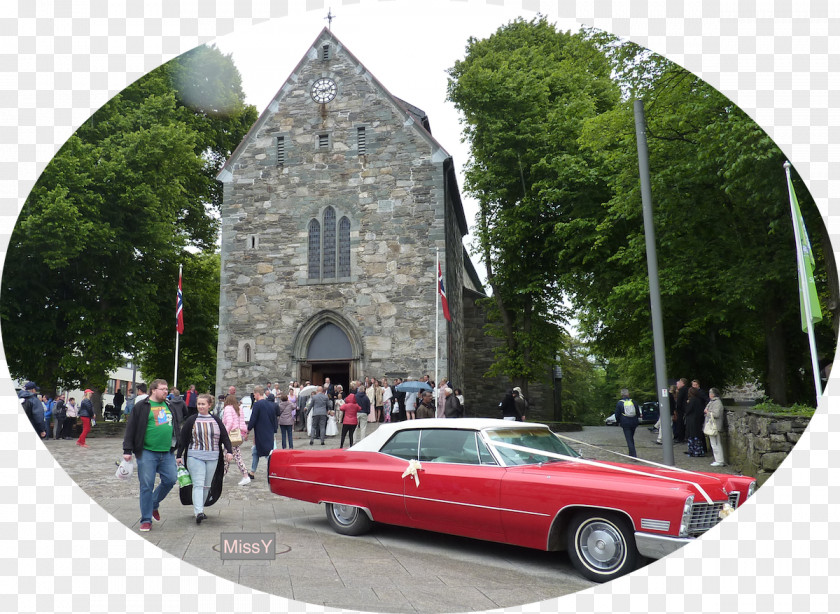 Tree Stavanger Cathedral Luxury Vehicle Mid-size Car Family Sedan PNG