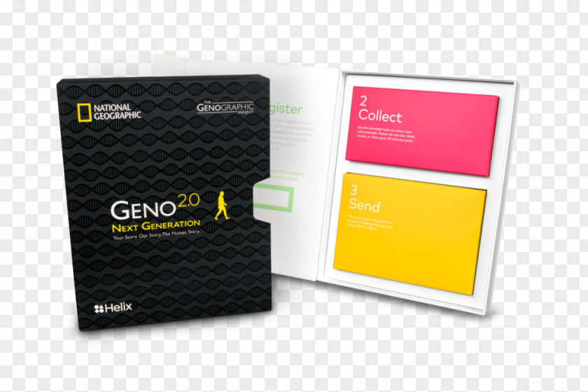 Genographic Project Genealogical DNA Test National Geographic Society Genetic Testing PNG