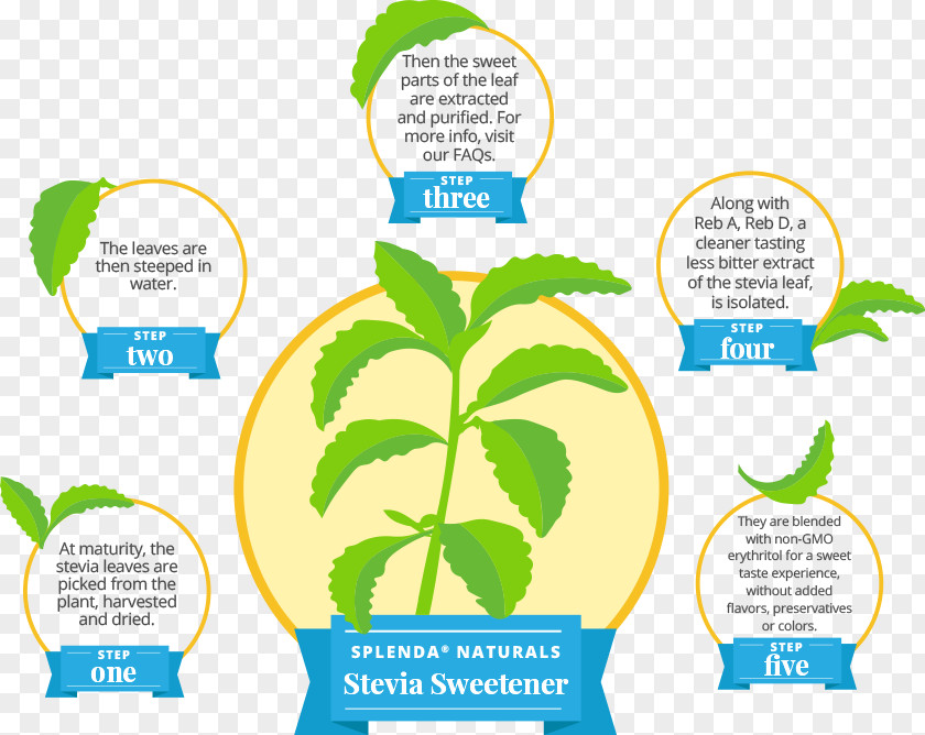 Sugar Stevia Cranberry Juice Sucralose Substitute Splenda PNG