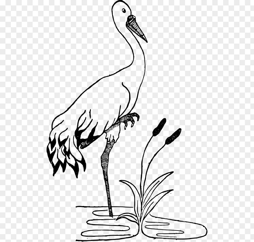 White Crane Bird Pond Orizuru Clip Art PNG