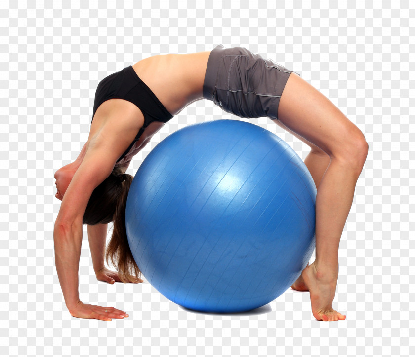 Ball Pilates + Yoga Exercise Balls PNG