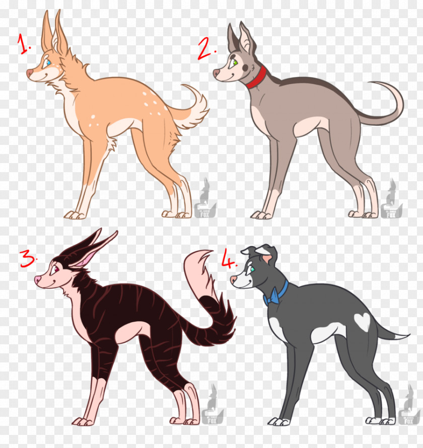 Cat Italian Greyhound Whippet Dog Breed Spanish PNG